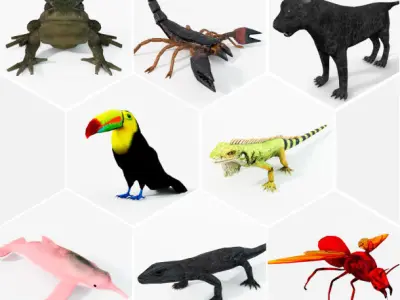 40 Models Animal Pack - Collection Low-poly 3D model