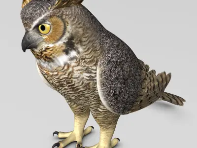 Great Horned Owl - Folded Wings 3D model