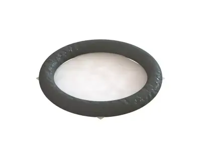 O Ring Vedabras 12460 3D model