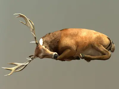 Deer stag Low-poly 3D model