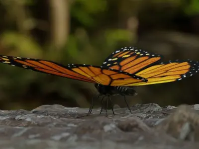 Monarch butterfly Low-poly 3D model