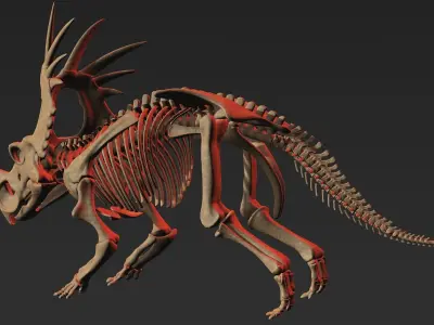 Styracosaurus skeleton 3D model