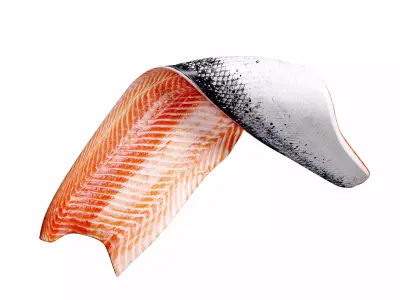 Salmon Filet 3D model
