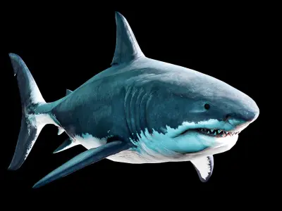 Great White Shark Low-poly 3D model