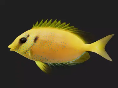 Spinefoot Low-poly 3D model