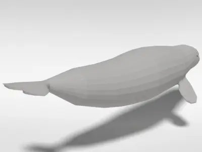 Low Poly Cartoon Beluga Whale Low-poly 3D model