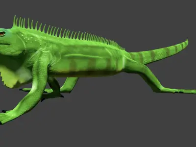 Iguana Free 3D model