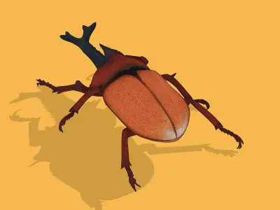 Vibrant beetle Low-poly 3D model