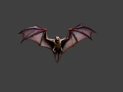 Bat Animal Low-poly 3D model