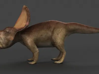 protoceratops ceratopsian dino dinosaur  3D model