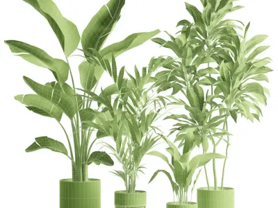 Indoor Plants Pack 86 3D model