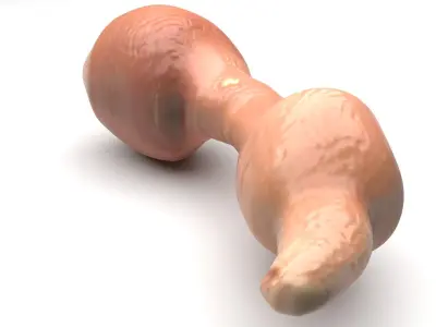 Penis Fish 3D model
