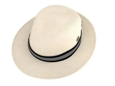 Fedora Hat Isolated 3D model