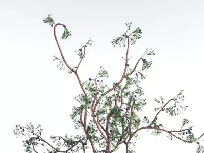 EVERYPlant Baiera 2 --14 Models-- 3D model