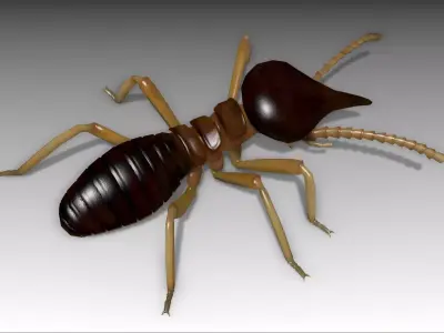 Nasute Termite Low-poly 3D model