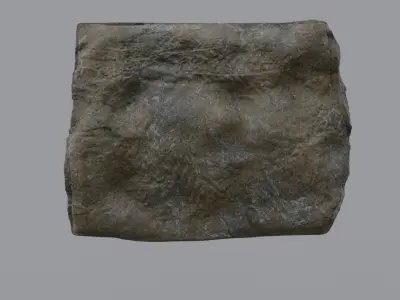 Ancient Plant Fossil 3D model