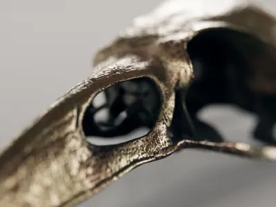 crow skull - bronze 3D model