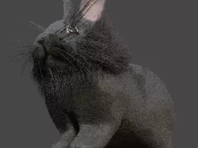 Gray Single Mane Lionhead Free 3D model