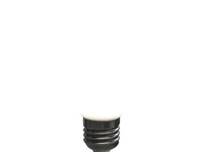  Standard Opaque Light Bulb Model 