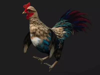 Chicken A4 Free 3D model