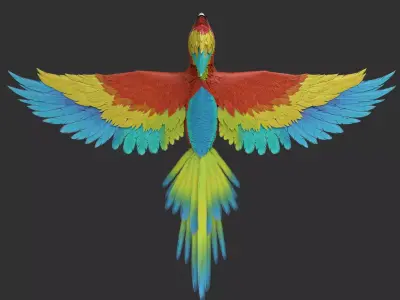 Parrot 3D model