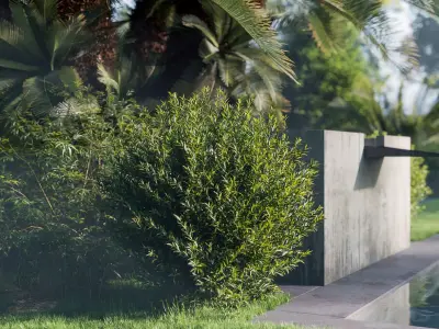 Shrub Collection - Include GrowFX and Mesh file1 3D model