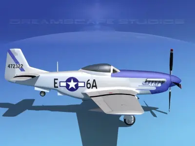 P-51D Mustang Nancy Lee 3D model
