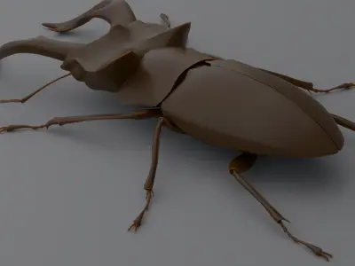 Stag Beetle Low-poly 3D model