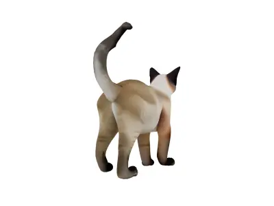 Realistic standing siamese cat with vivid blue eyes Free 3D model