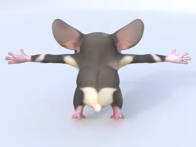 Sugar Glider 3D model