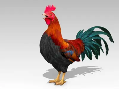 Rooster Low-poly 3D model