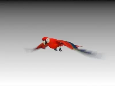 Red Macaw Parrot animated Low-poly 3D model