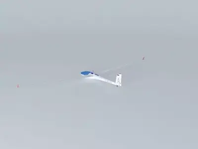 DG-800 glider flying in sky 3D model