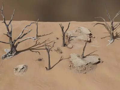 Namibian Desert Dry Vegetation Pack 12 3D model