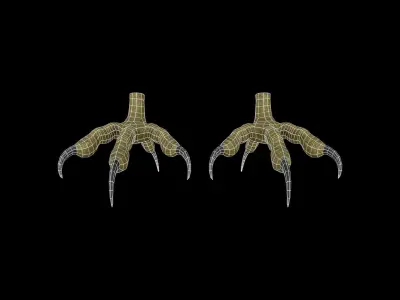 FOOT001 Rigged Bird Feet Low-poly 3D model