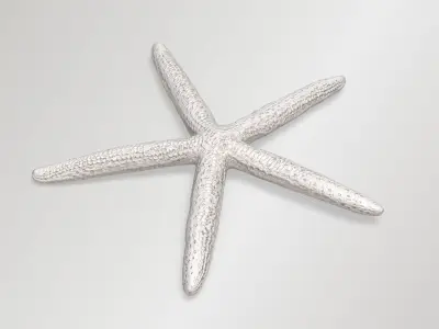 Finger Starfish Low-poly 3D model