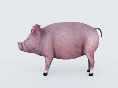 Pig Animal Free 3D model