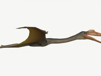 Quetzalcoatlus dinosaur Low-poly 3D model
