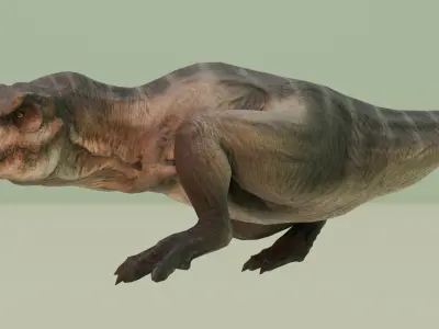 T REX -Tyrannosaurus Rex 3D model