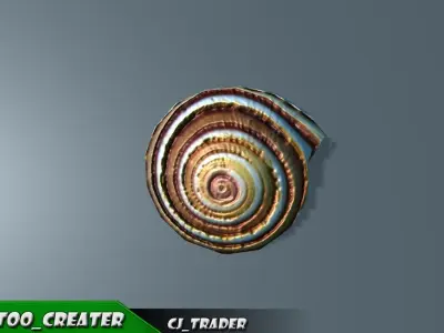 Lowpoly Under Water Shell Collection Pack 3d model Low-poly 3D model