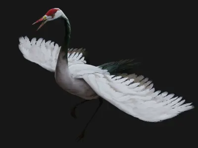 Pack-01-Bird Family 3D model