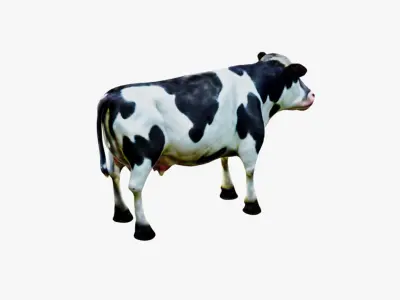 Cow Animal Free 3D model