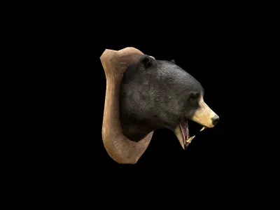 Bear Head - PBR - Textured Low-poly 3D model