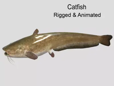 Catfish Realistic Animated Low-poly 3D model