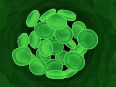 Leech Blood Cells In Segment 3D model