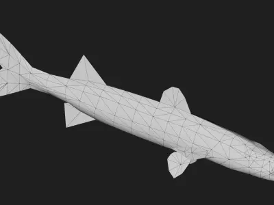 Barracuda Low-poly 3D model