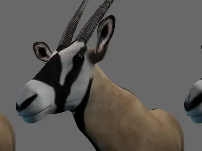 African Oryx Low-poly 3D model