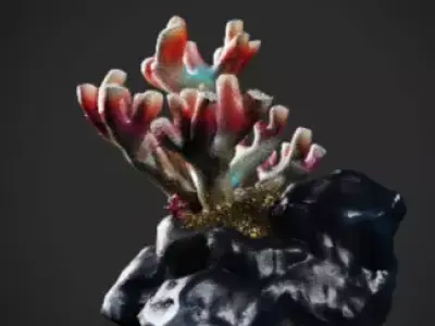 Coral 1 Free low-poly 3D model