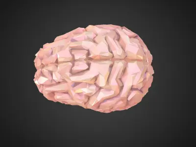 Brain Real Low Polygon Art Medical Low-poly 3D model