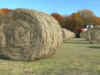 Farm Field with Round Hay Bale Rolls Golden Brown Fur 3D model